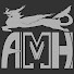 VYoQoF4YOlU-channel-avatar-AMH Present
