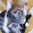 @jumpyclackykitties7908