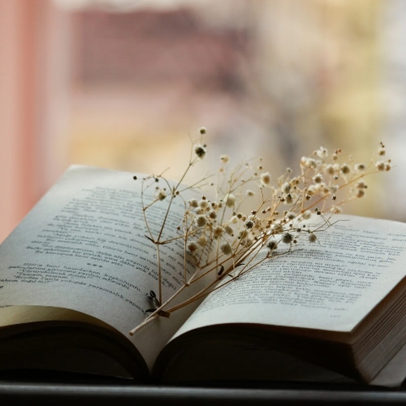 Versículos biblicos