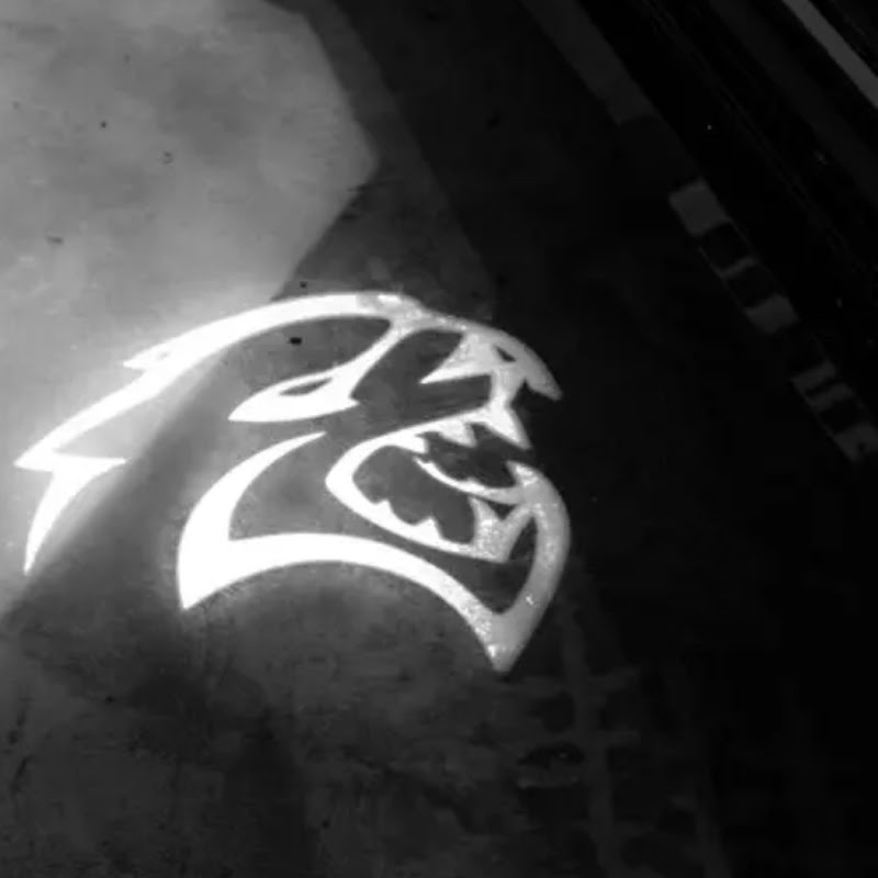 Srt lincC