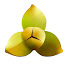 5jlECcglEhw-channel-avatar-រំដួលទេសនាខ្មែរ Rumduol Tesna Khmer