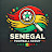 Senegal Scout 