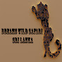 Yala Dreams Wild Safari Tours Sri Lanka logo