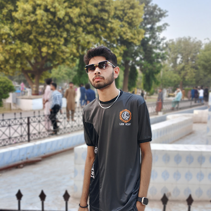 Hire Hanzla Javed — Comics & Manga Creation YouTube creator for sponsorships