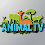 Animal TV logo
