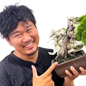 盆栽職人Toshi