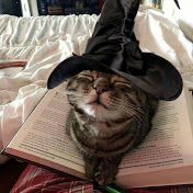 Drama meow