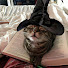 KUNPUK2nr8o-channel-avatar-Drama meow