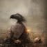 OpvrHym_jww-channel-avatar-Michelle Dorey