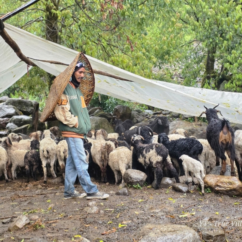 True Village Life