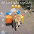 @هاديمباركبوريش