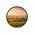 Uik2WxBz78I-channel-avatar-Tuscany Harmony