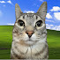 Gp_YrtbBx0w-channel-avatar-MK_Ashley