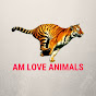 AM love animals