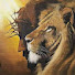 WA9tcRaPwrQ-channel-avatar-Lucky janagal