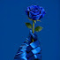 ou33Ua4i4mE-channel-avatar-144BlueRoseTemple 