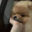 @김톳파래