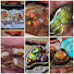 qI4C8oRp09M-channel-avatar-Fire Agate Mark