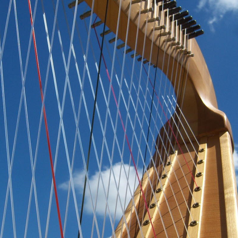Chromatic Harp 6/6