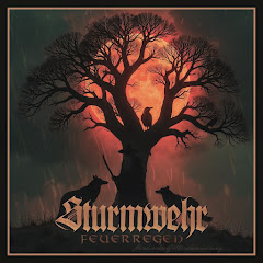 Sturmwehr - Topic