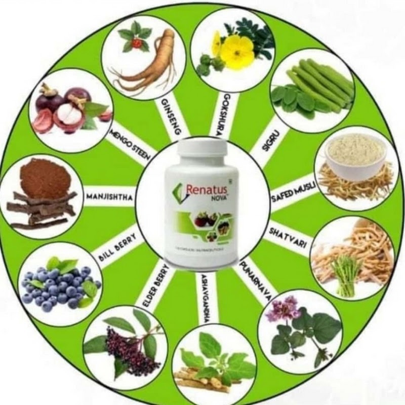 Zehra Nutrition
