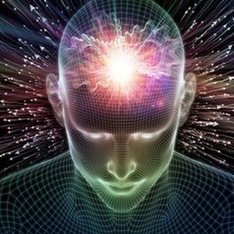 على هدى العقل