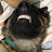 @madpuri's avatar