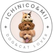 ICHINICO®︎イチニコミィちゃんねる