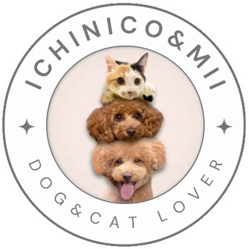 ICHINICO®︎イチニコミィちゃんねる