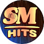 Sapna Music Hits logo