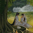 X-5LK8K8CBg-channel-avatar-alice_d