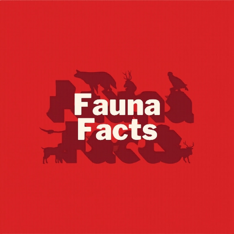 FAUNA FACTS