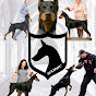 Iconic Dobermans logo