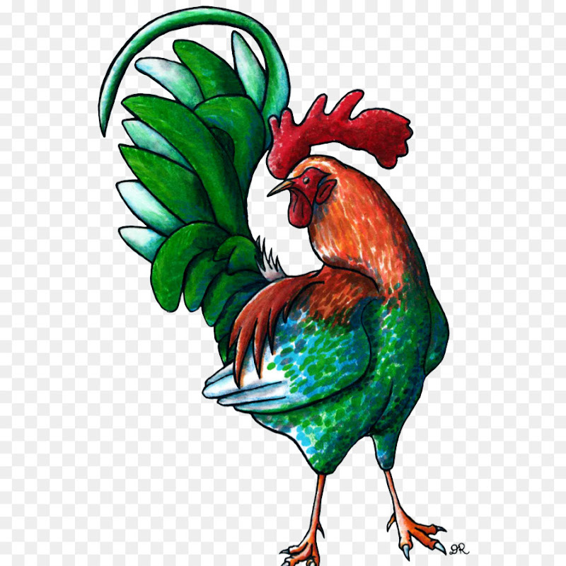 Gamefowl Farm Visit