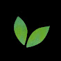 Simple Green Smoothies logo