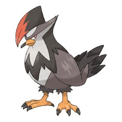 StaRaptor