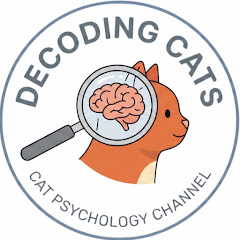 Decoding Cats