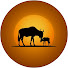 kEo_iT6qVwo-channel-avatar-Wild First Hours