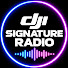 unsFUJEYhV4-channel-avatar-DJI SIGNATURE RADIO and RAVΞ CORΞ