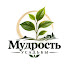 6tuXYYd5xj0-channel-avatar-Мудрость усадьбы