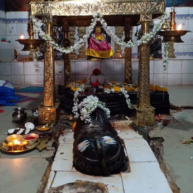 Praveen Kumar kota