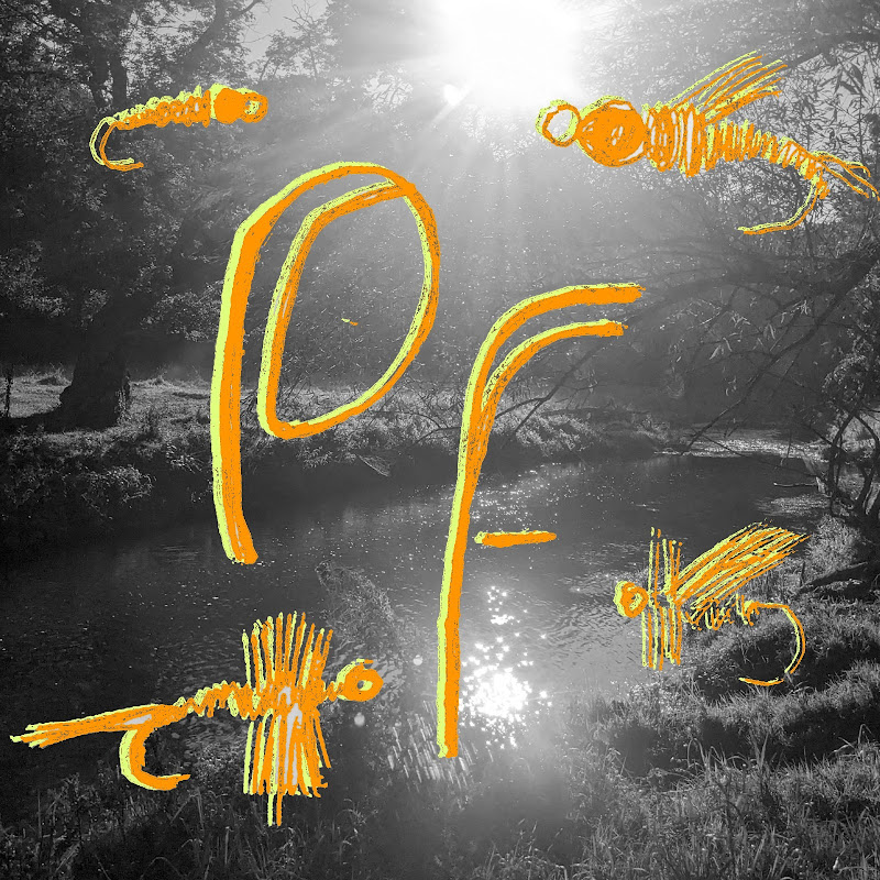 Driftless Brook Trout Fishing