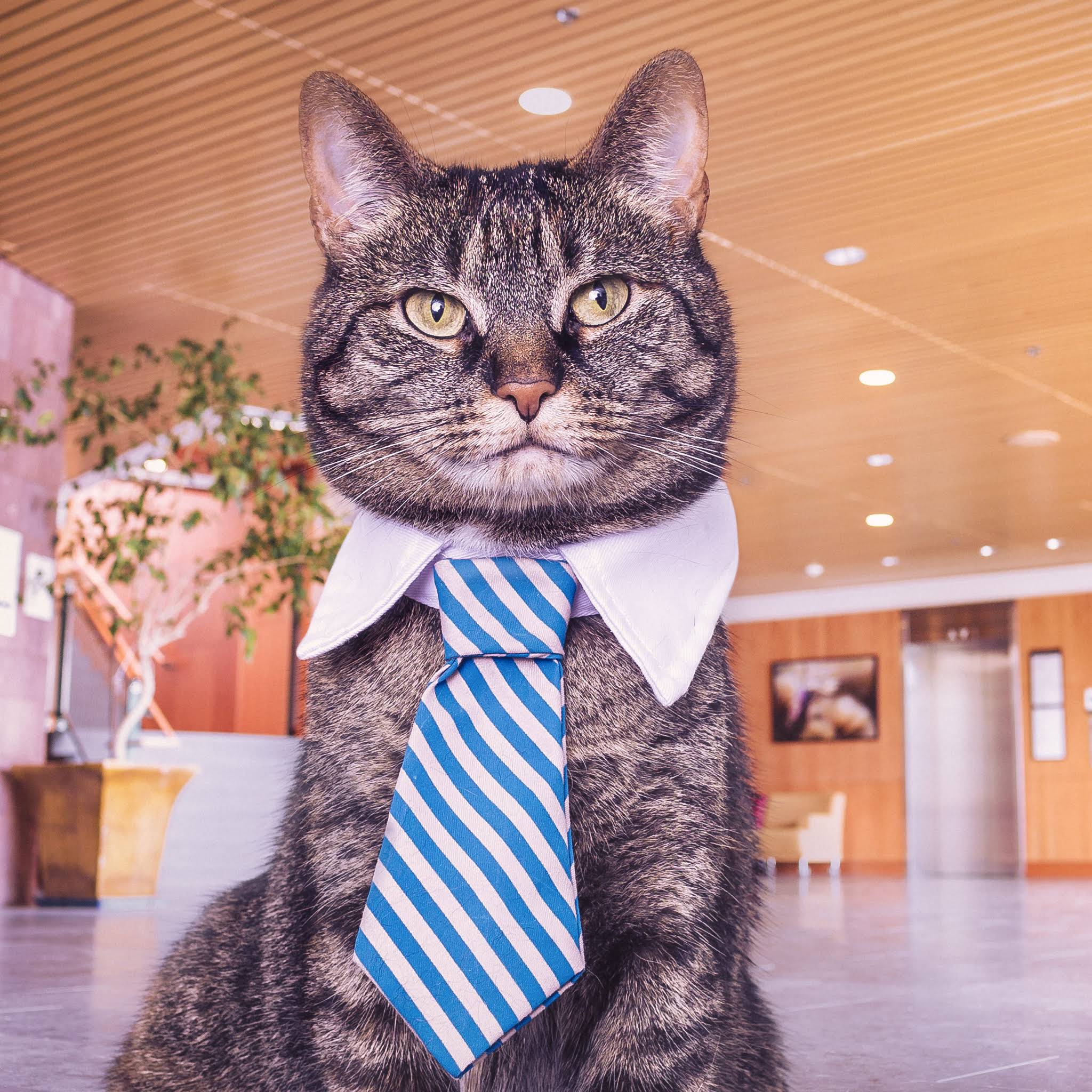 Post from DrCat