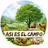 9A70q0OcvzE-channel-avatar-ASI ES EL CAMPO
