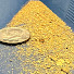 XCUUy3aBvg0-channel-avatar-Get the Gold!