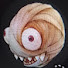 fZP3e9JbGRw-channel-avatar-Poopybuthole Leader