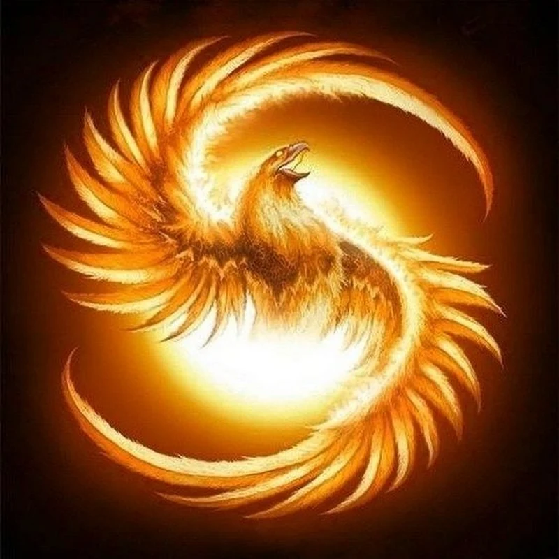 Phoenix Studio - A Medieval Life