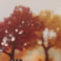 Autumn Rain