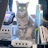 9Rae6j_wiy4-channel-avatar-Mezmaron's World