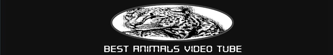 Best Animals Video Tube YouTube-Kanal-Avatar